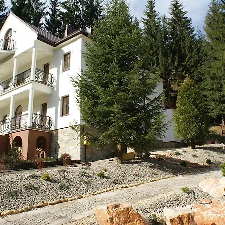 Kwatera prywatna Amalia *
