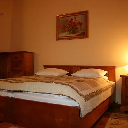 民宿 Amalia 维斯拉